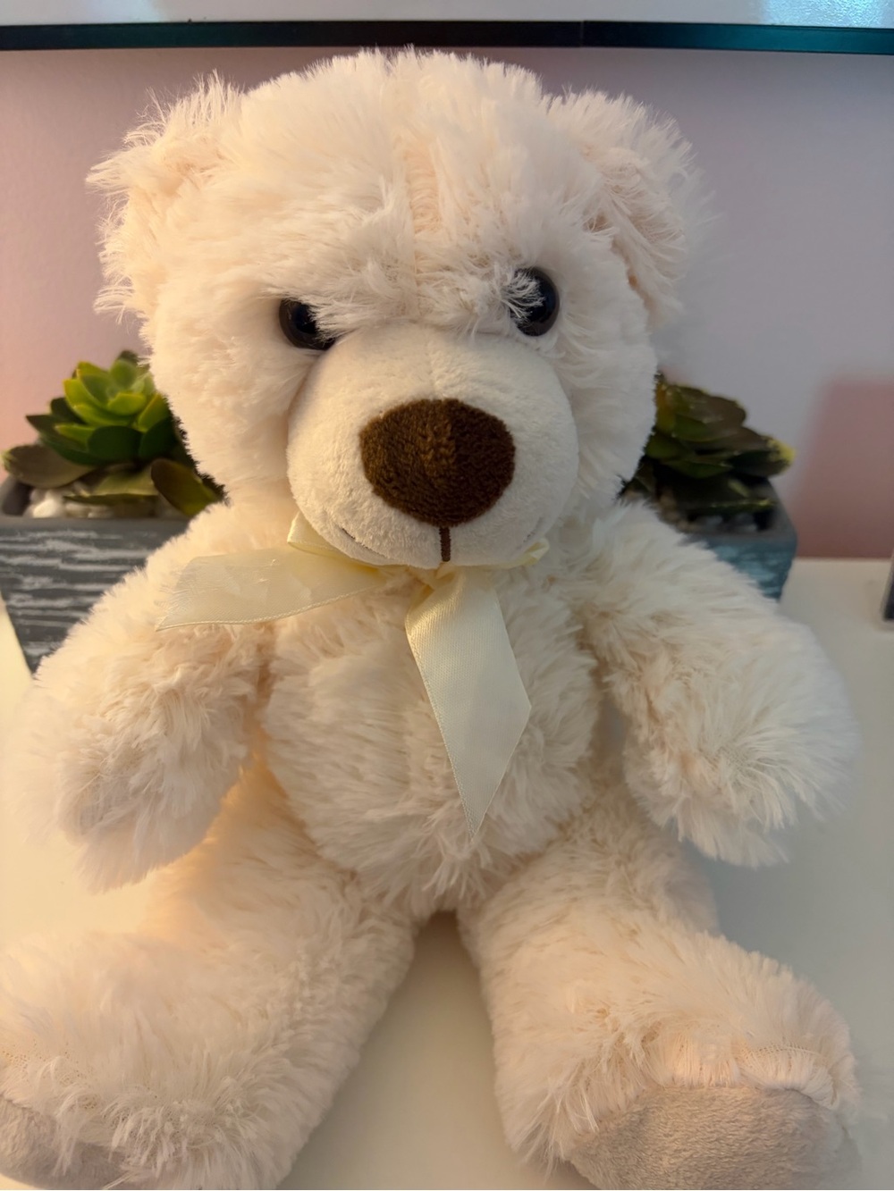 Plush Cream Teddy Bear with Brown Nose
